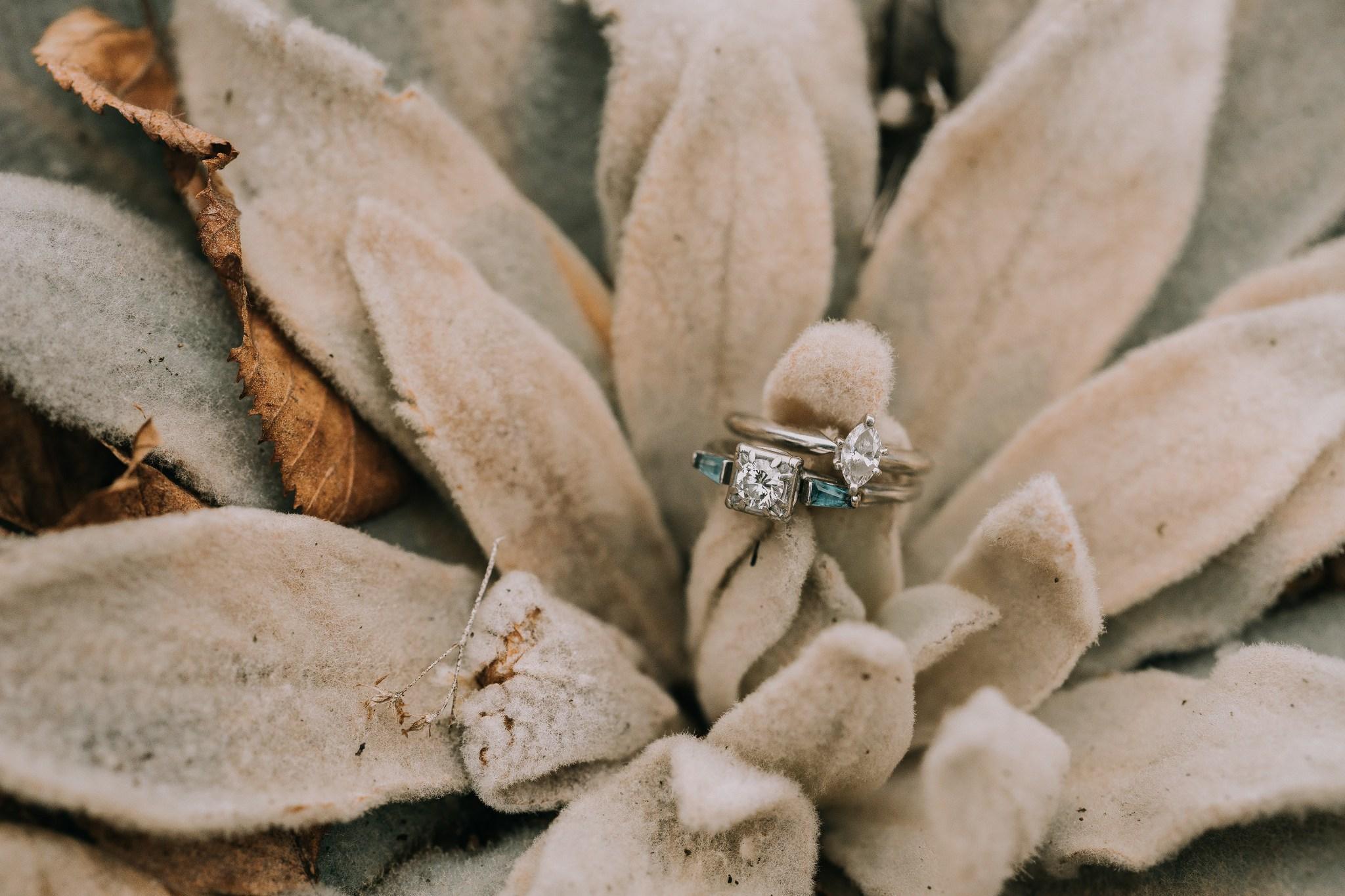The Wedding Website of Jessica Fisher and Christopher Buch