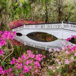 Magnolia Plantation and Gardens