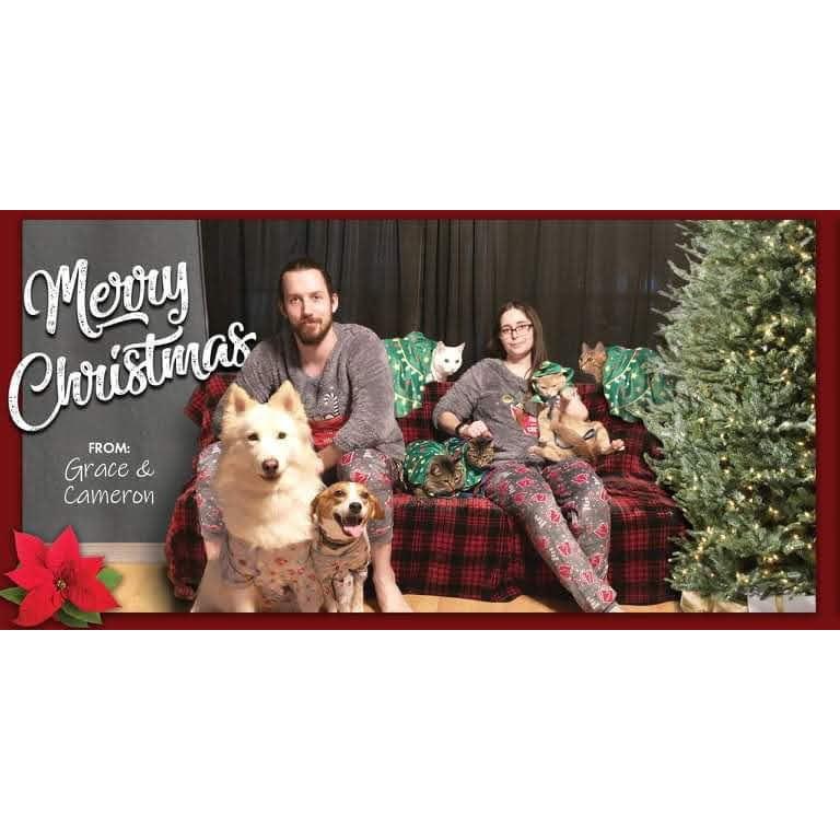 The cheesy Christmas card