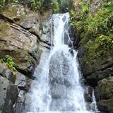 El Yunque National Forest