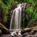 Annandale Waterfall & Forest Park