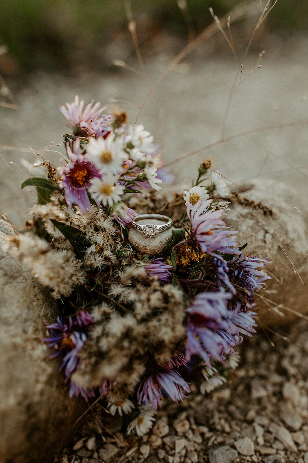 The Wedding Website of Reilly McCreedy and Philip Mathews