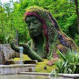 Atlanta Botanical Garden