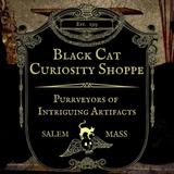 Black Cat Curiosity Shoppe