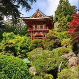 Japanese Tea Garden