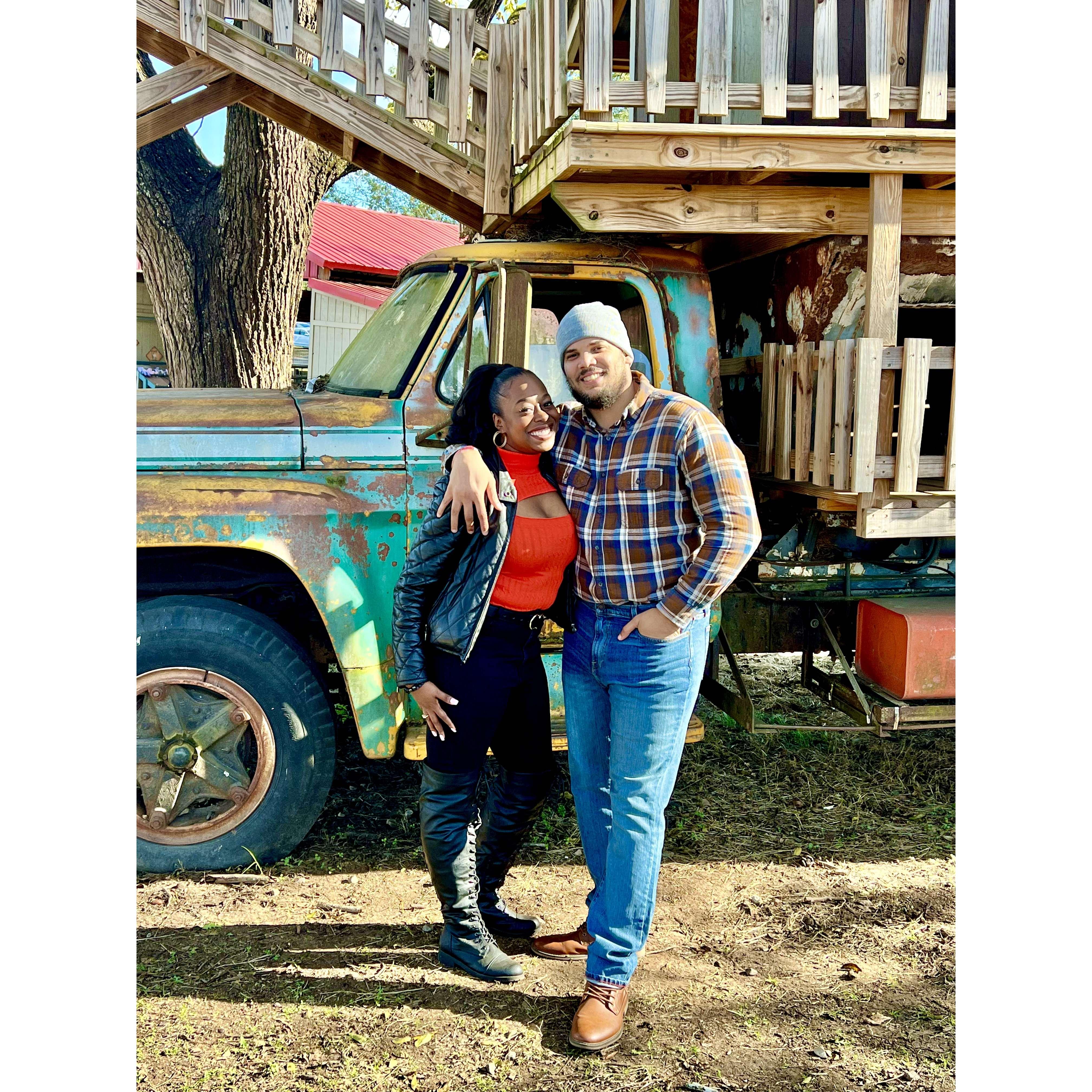 Southern Belle Farm