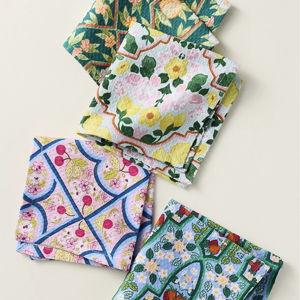 Zeta Dishcloths, Set of 4
