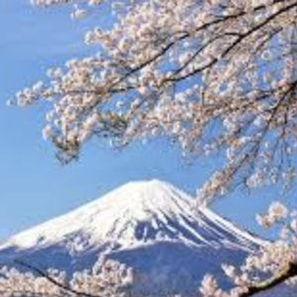 Japan Honeymoon Fund