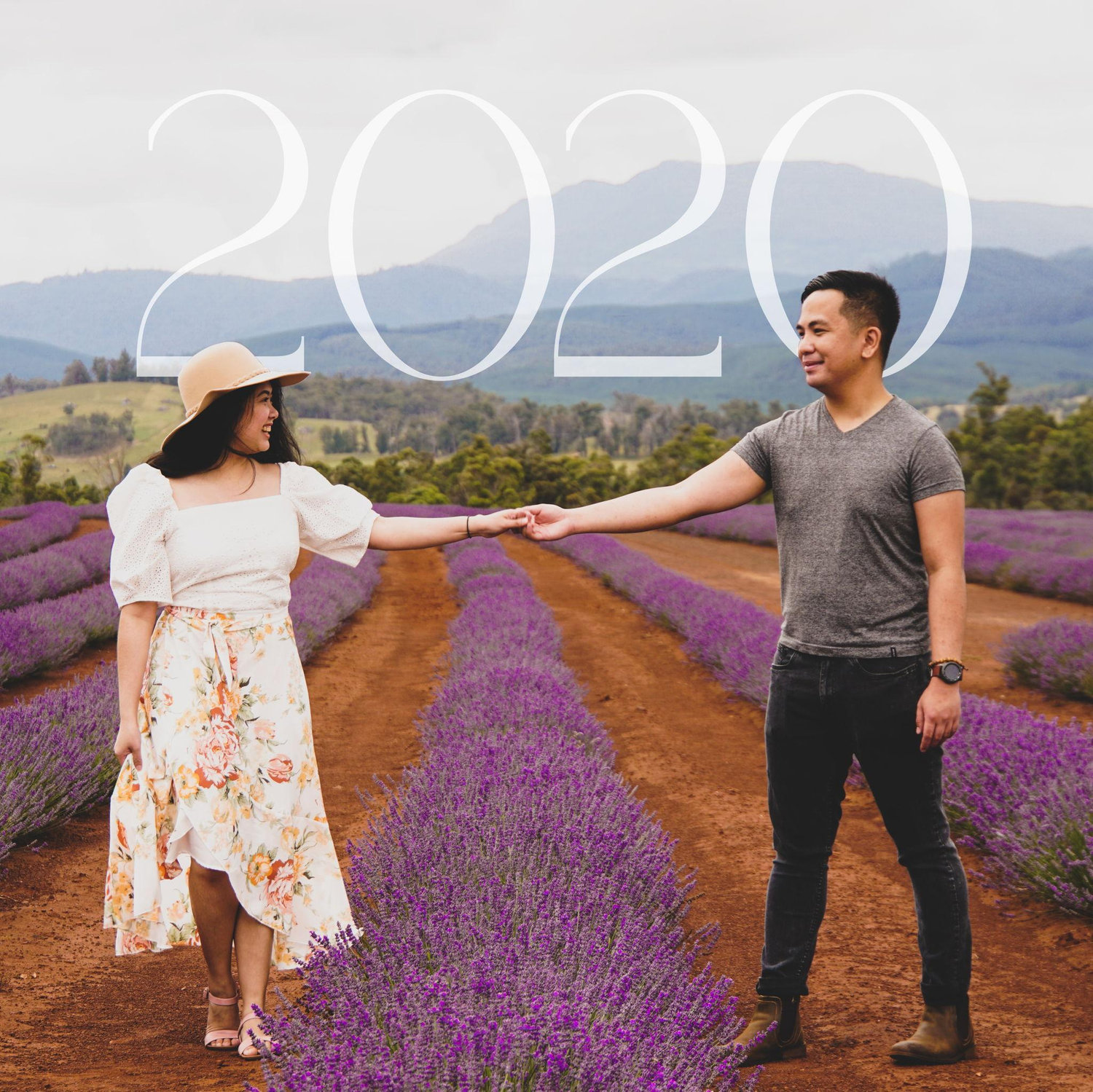 Bridestowe Lavender Estate, Nabowla TAS