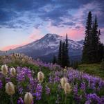 Mount Rainier National Park
