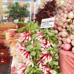 Boulder Farmers Market