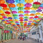 Umbrella Street