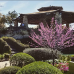 Japanese Tea Garden