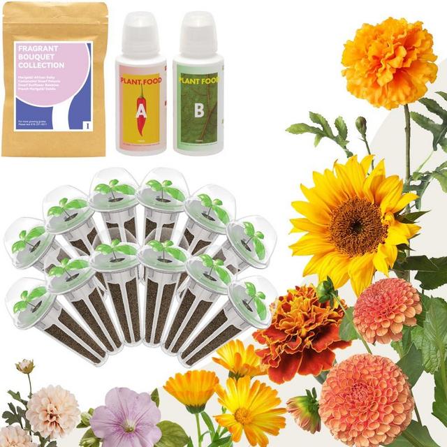 inbloom Fragrant Bouquet Seed Pod kit for AeroGarden,Hydroponics Growing System,with Grow Sponge & Grow Basket & AB Food & 7 Type of Seed(12-Pods)