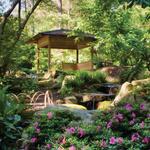 Sarah P. Duke Gardens