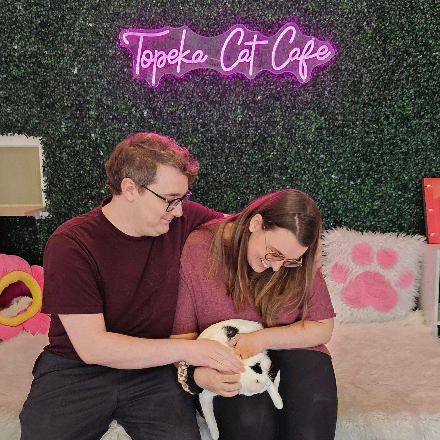 Adopting our cat, Gemma