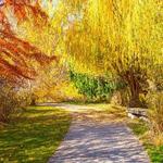 Kathryn Albertson Park
