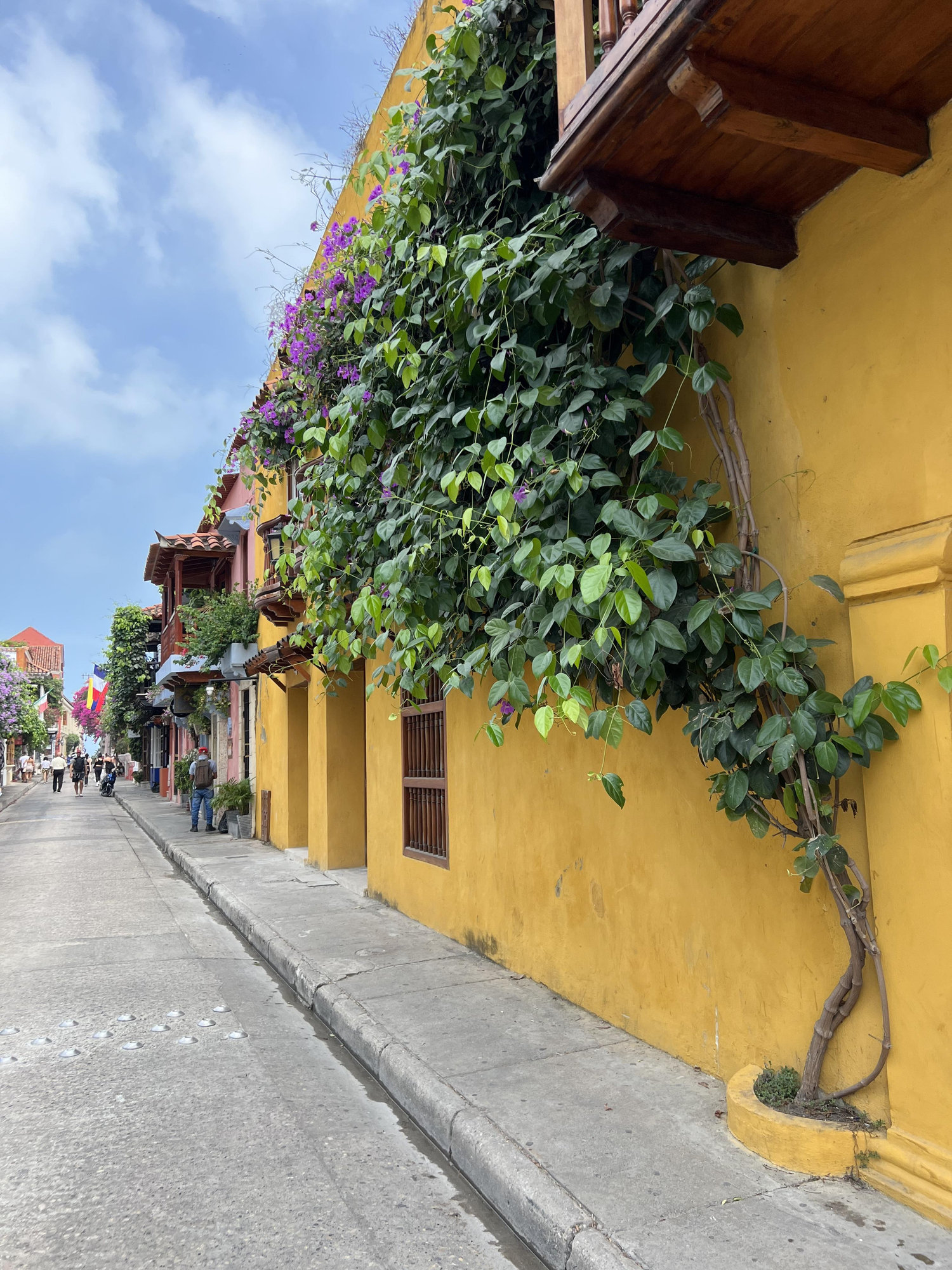 The Wedding Website of Carlos Gonzalez and Gonzalez Lengua