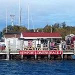 Newport Lobster Shack- Live Market