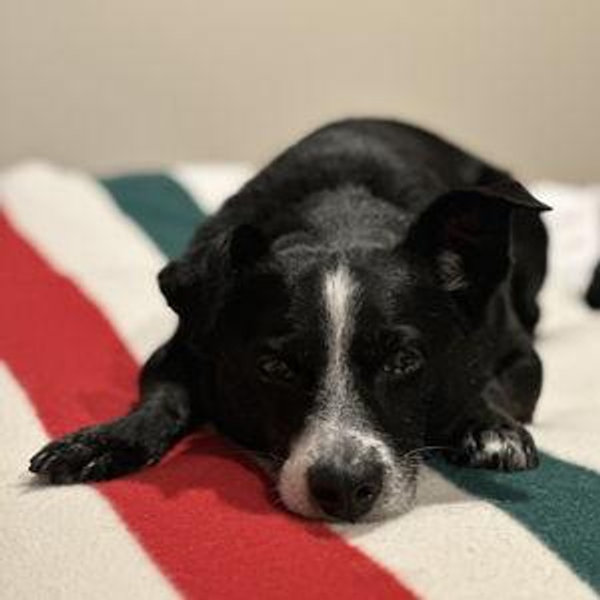 Doing Life Fund
