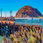 MORRO BAY