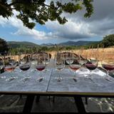 Wine Tasting - Orealios Gaea