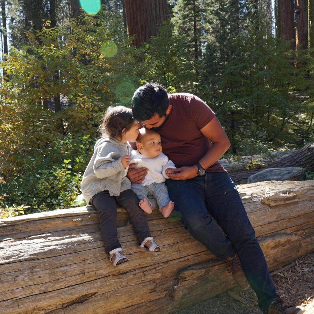 Sequoia NP
