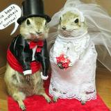 World Famous Gopher Hole Museum