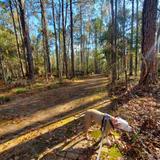 Tillie K. Fowler Regional Park