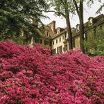 Winterthur Museum, Garden and Library