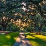 Brookgreen Gardens