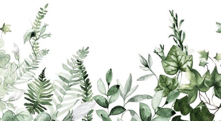 Footer image
