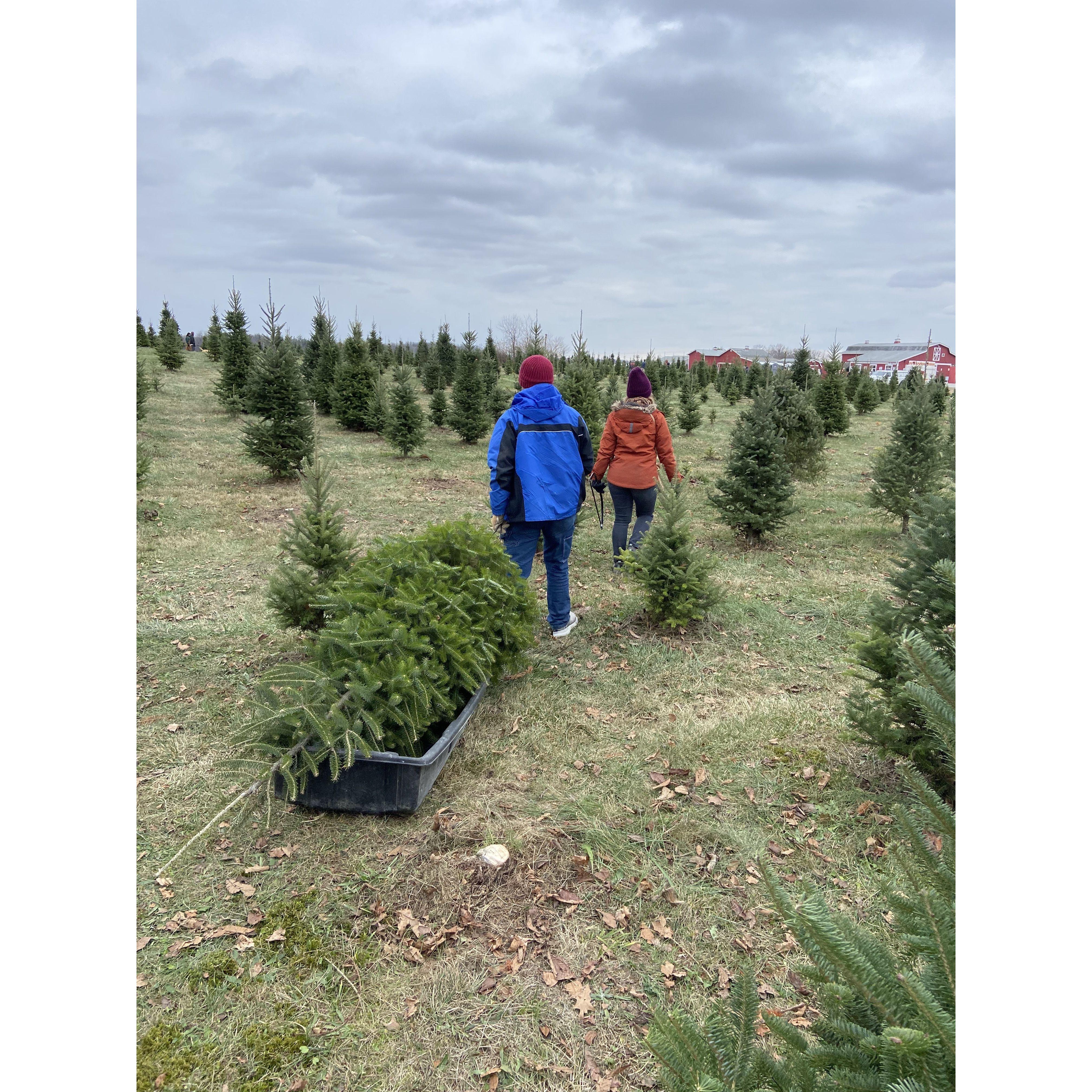 At the Christmas tree farm after we cut down our tree.