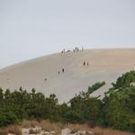 Jockeys Ridge Sand Dunes