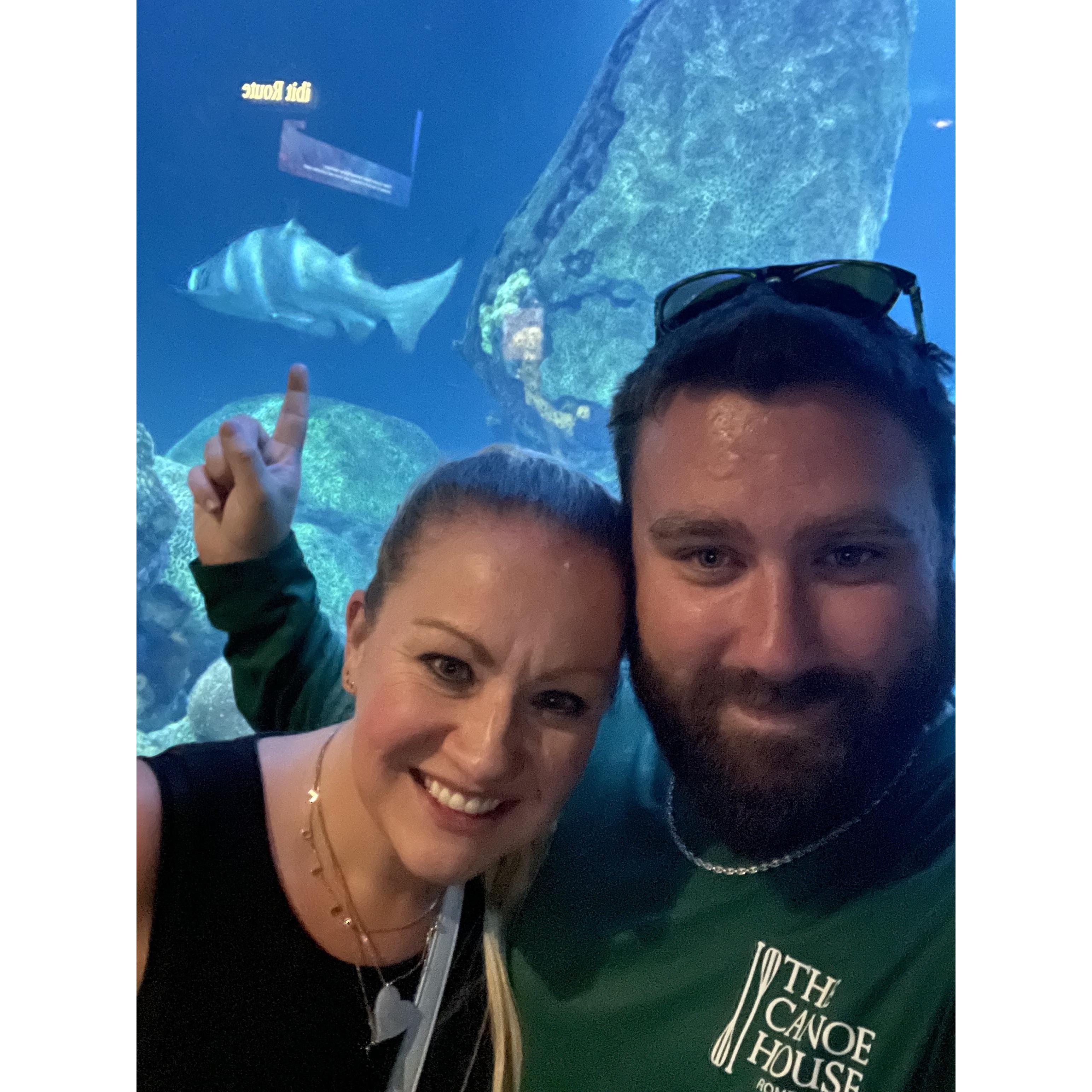 In Chattanooga at Lucas's happy place, The Tennessee Aquarium