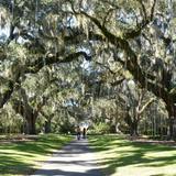 Brookgreen Gardens