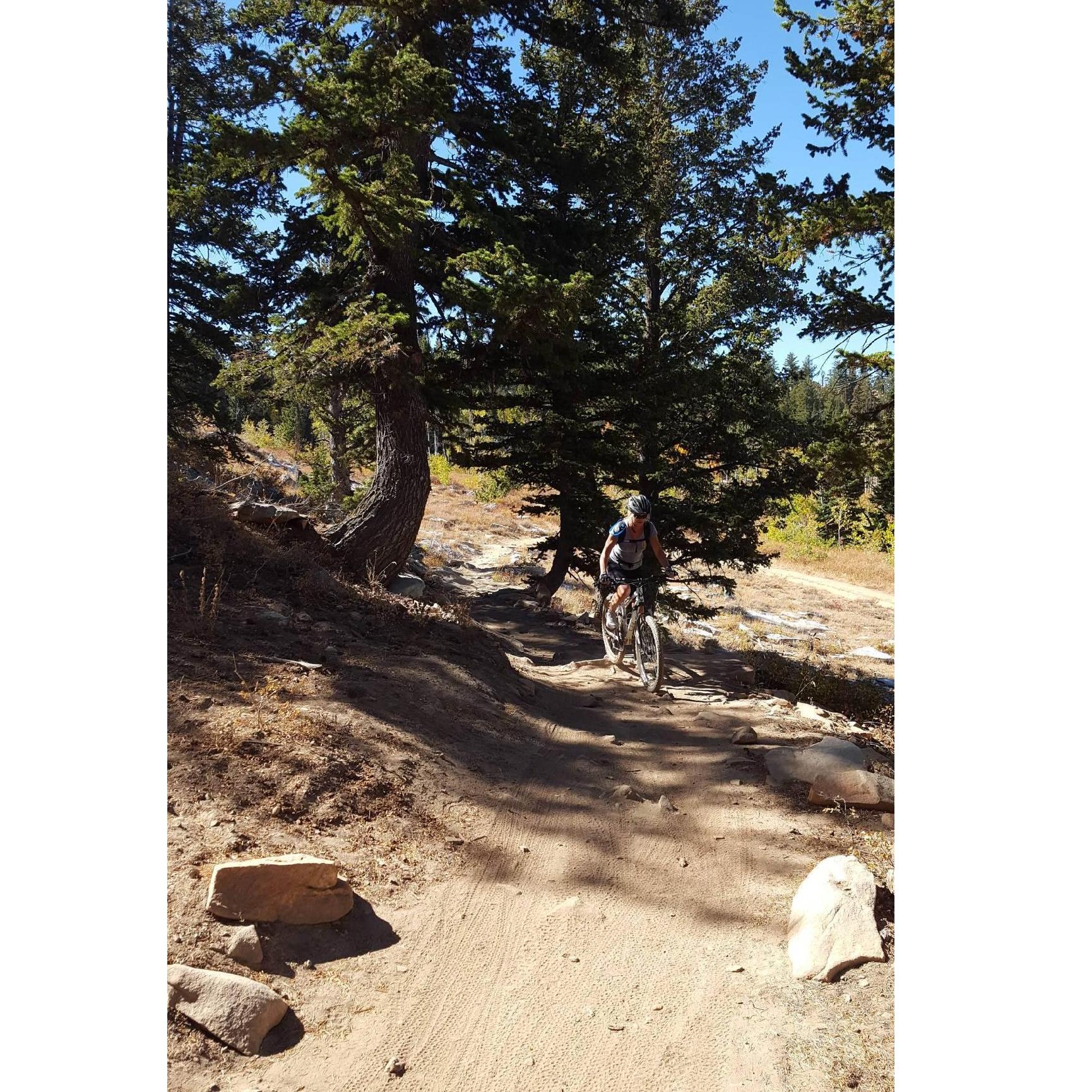 Mountain Biking Snow Basin in September