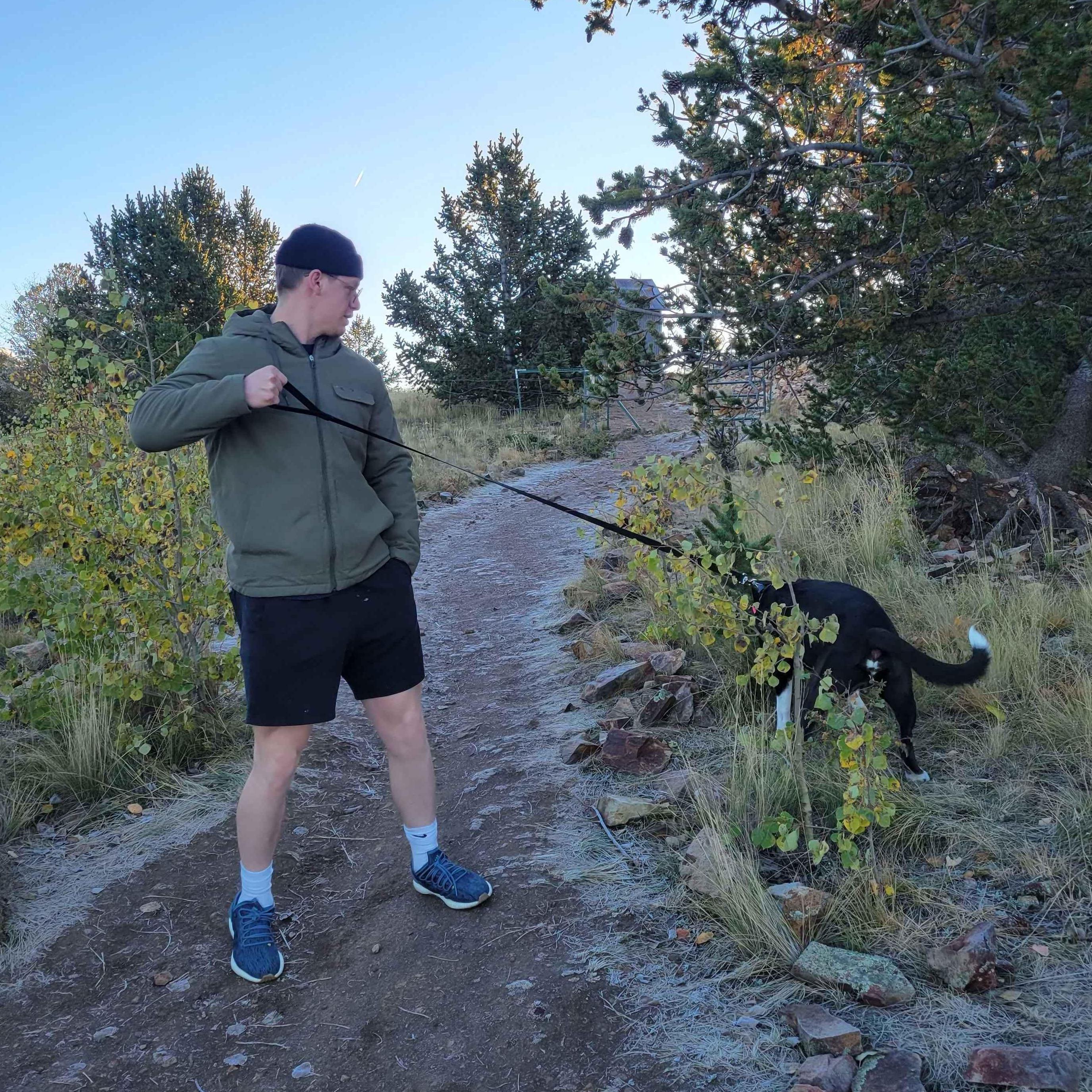Not leash trained