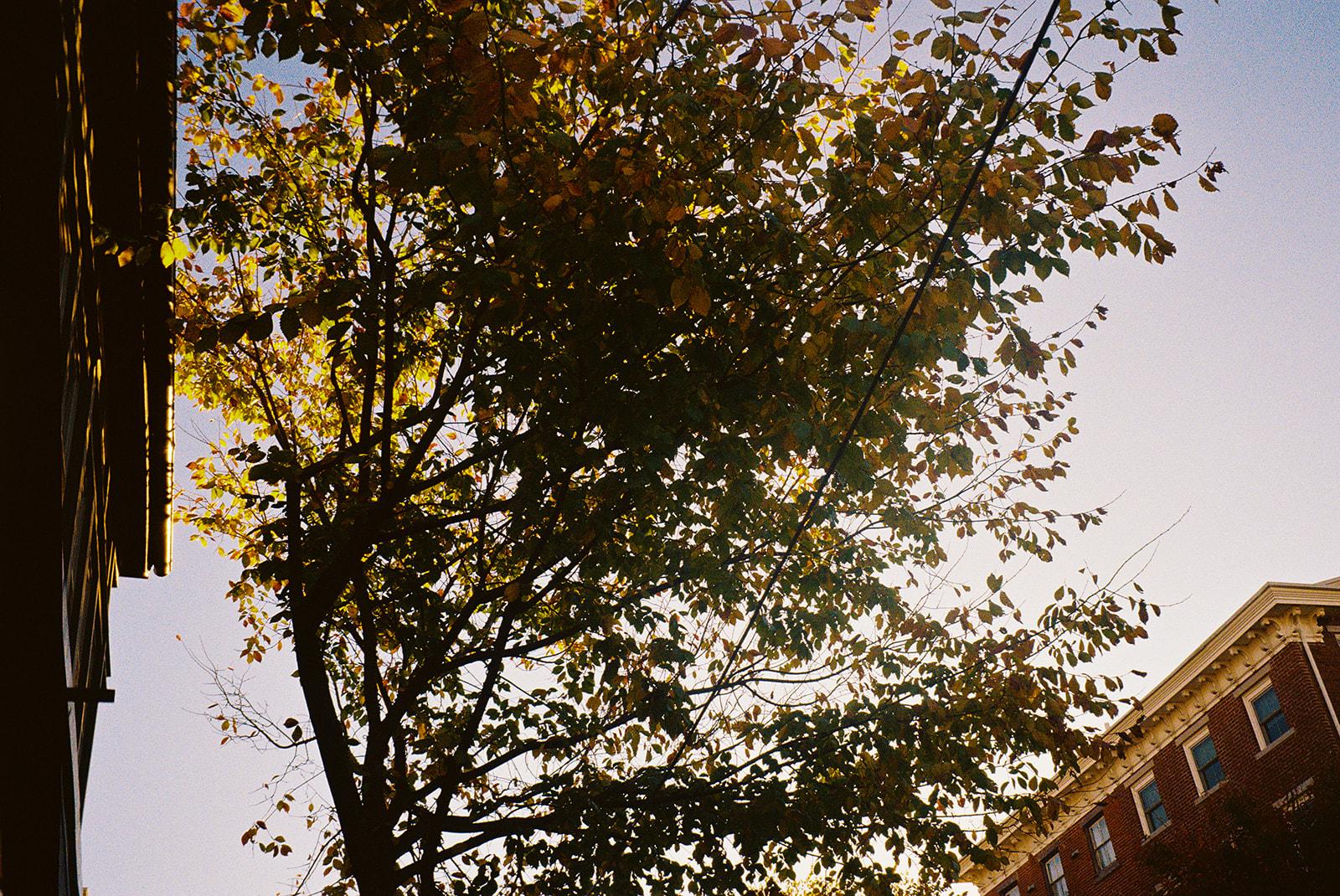 The Wedding Website of Alexa Bricker and Matthew Nye