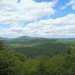 Sawyer Mountain Trail