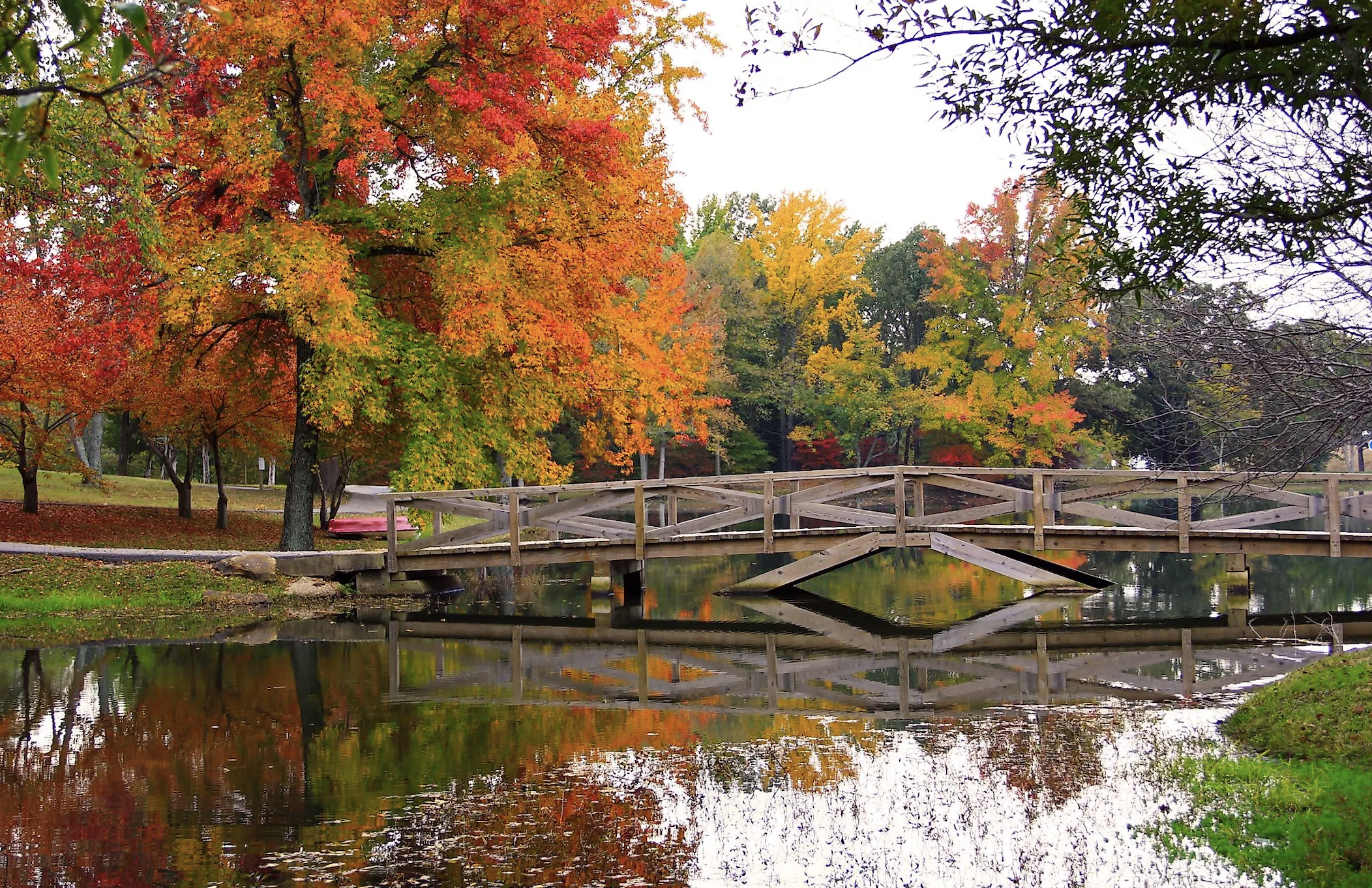 The Wedding Website of Lisa Abu-Bakr and Camron Harris