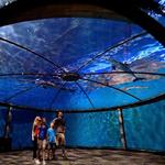 Indianapolis Zoo