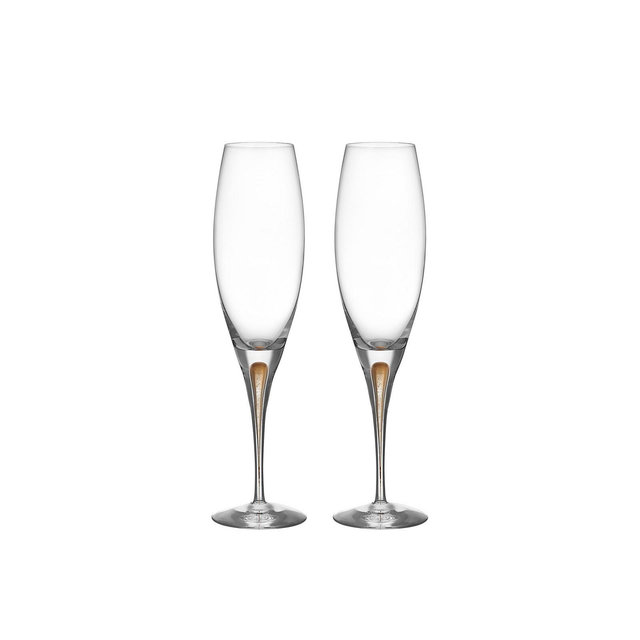Orrefors Intermezzo Gold Champagne Glass, 2-pack