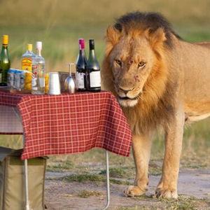 Honeymoon Fund - Sundowner Drinks