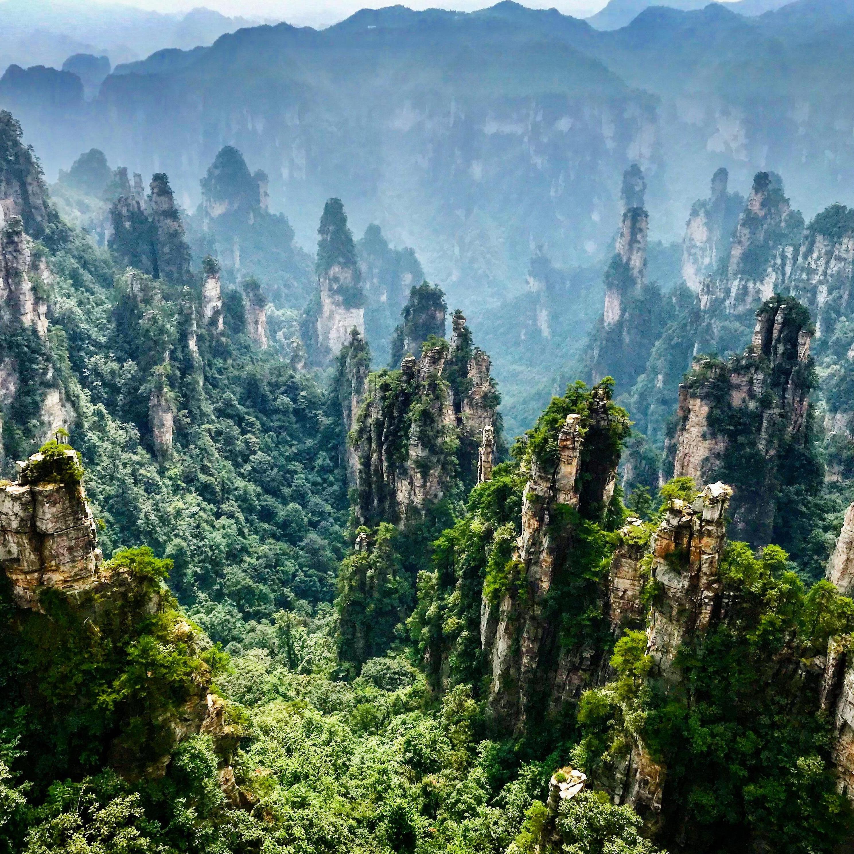 The unreal "Avatar" mountains of Zhangjiajie, China
2019