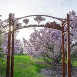 University of Wisconsin-Madison Arboretum