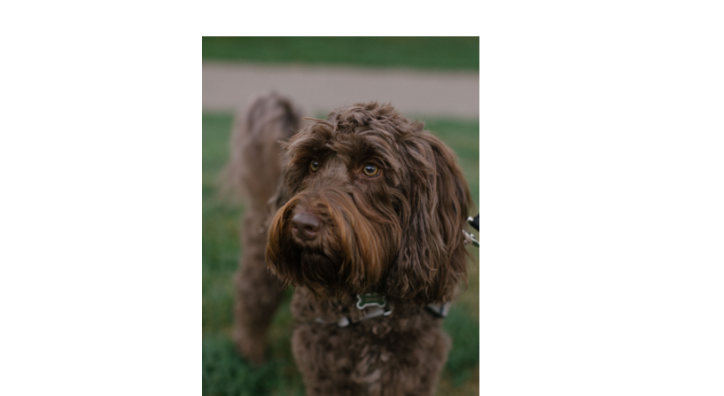 Footer image