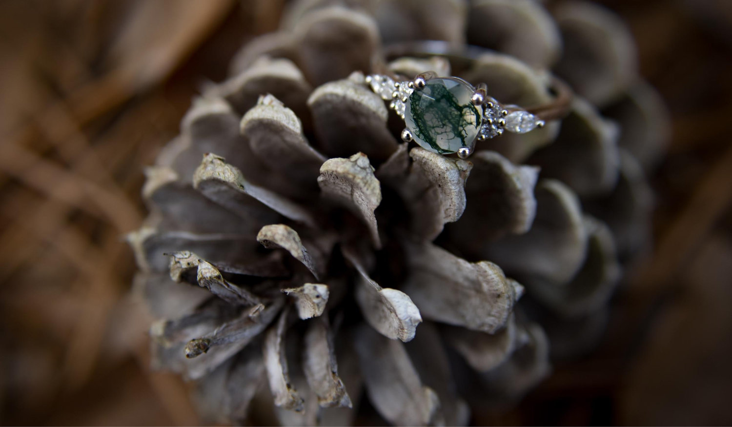 The Wedding Website of Elaine Harris and Ryan Quinn
