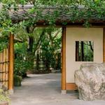 Morikami Museum and Japanese Gardens