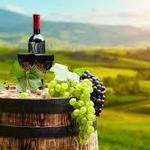 North GA Wine Tour